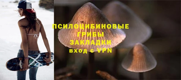 амф Лабытнанги