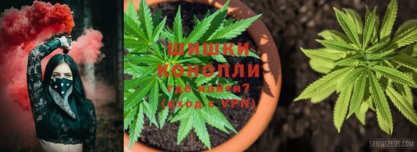 стафф Лагань
