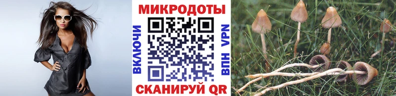 Галлюциногенные грибы прущие грибы  Купить закладки  Бакал 
